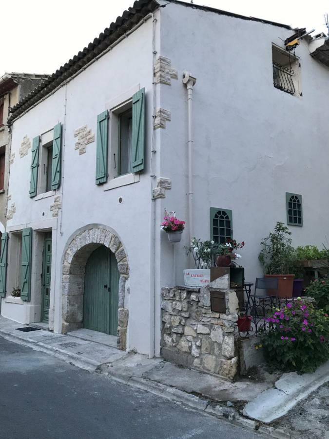 Chambre D'Hotes Le Laurier Blanc Portel-des-Corbieres 외부 사진